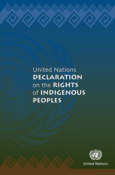 United Nations Declaration on the Rights of Indigenous Peoples (2008)